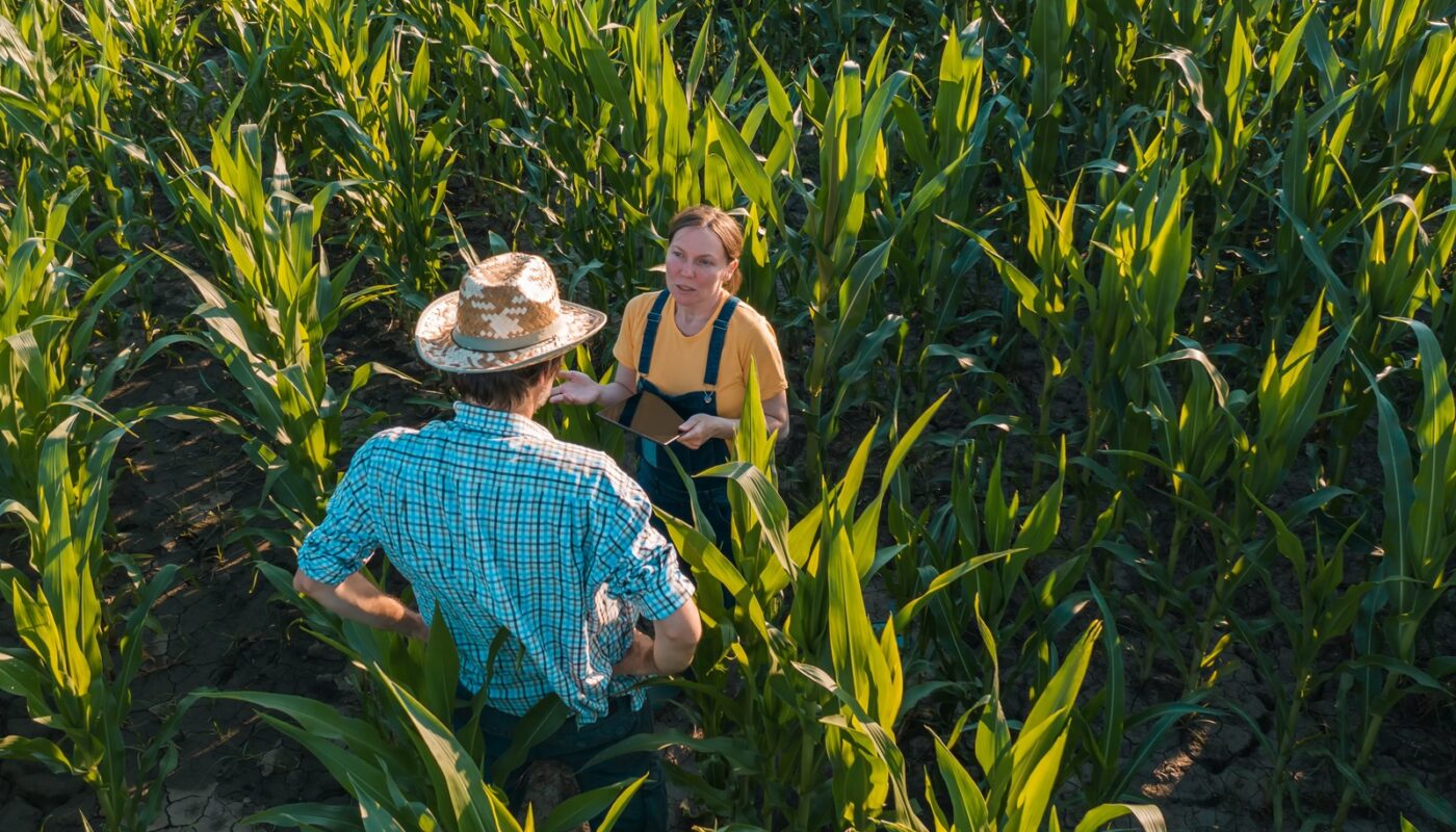 Esenzione IMU comuni montani: terreni agricoli e regole 2026